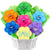 Wacky Face Daisies - CookiesByDesignProd