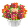 Birthday Splendor - CookiesByDesignProd