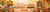 15% OFF FALL COOKIES - CODE FALL 15