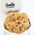 Tin of One Dozen Chocolate Chip Gourmet Cookies