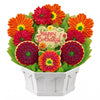 Birthday Splendor