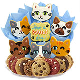 B500 - Purrfect Cats BouTray™