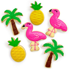 Summer Vibes Cookie Favors - 