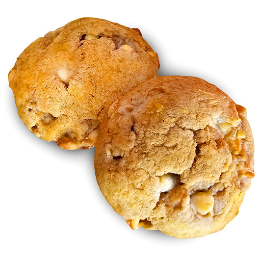 BX9-PS - Pumpkin Spice Gourmet Cookies - Two Dozen Gourmet Cookies